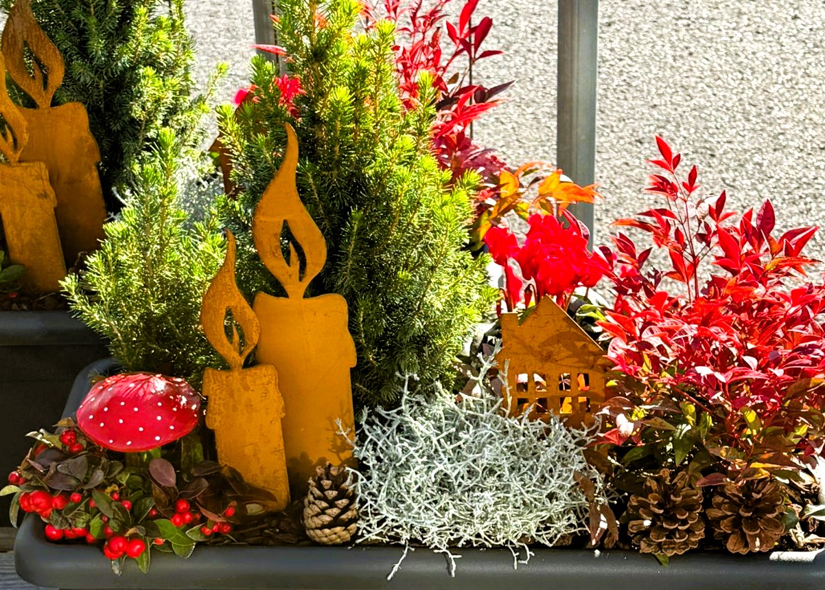 Monheimer Blumenmarkt